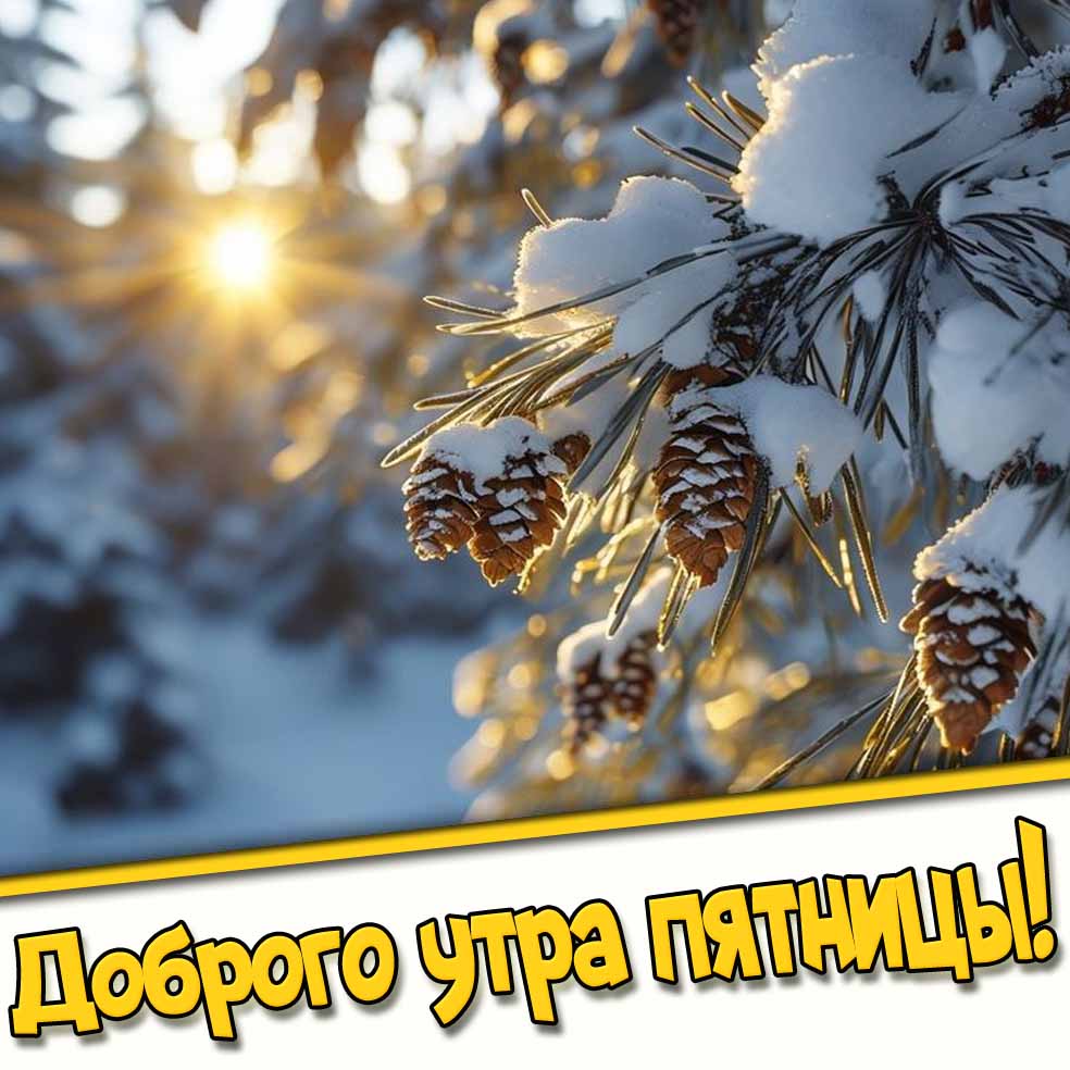 Доброго утра пятницы! — снежная открытка