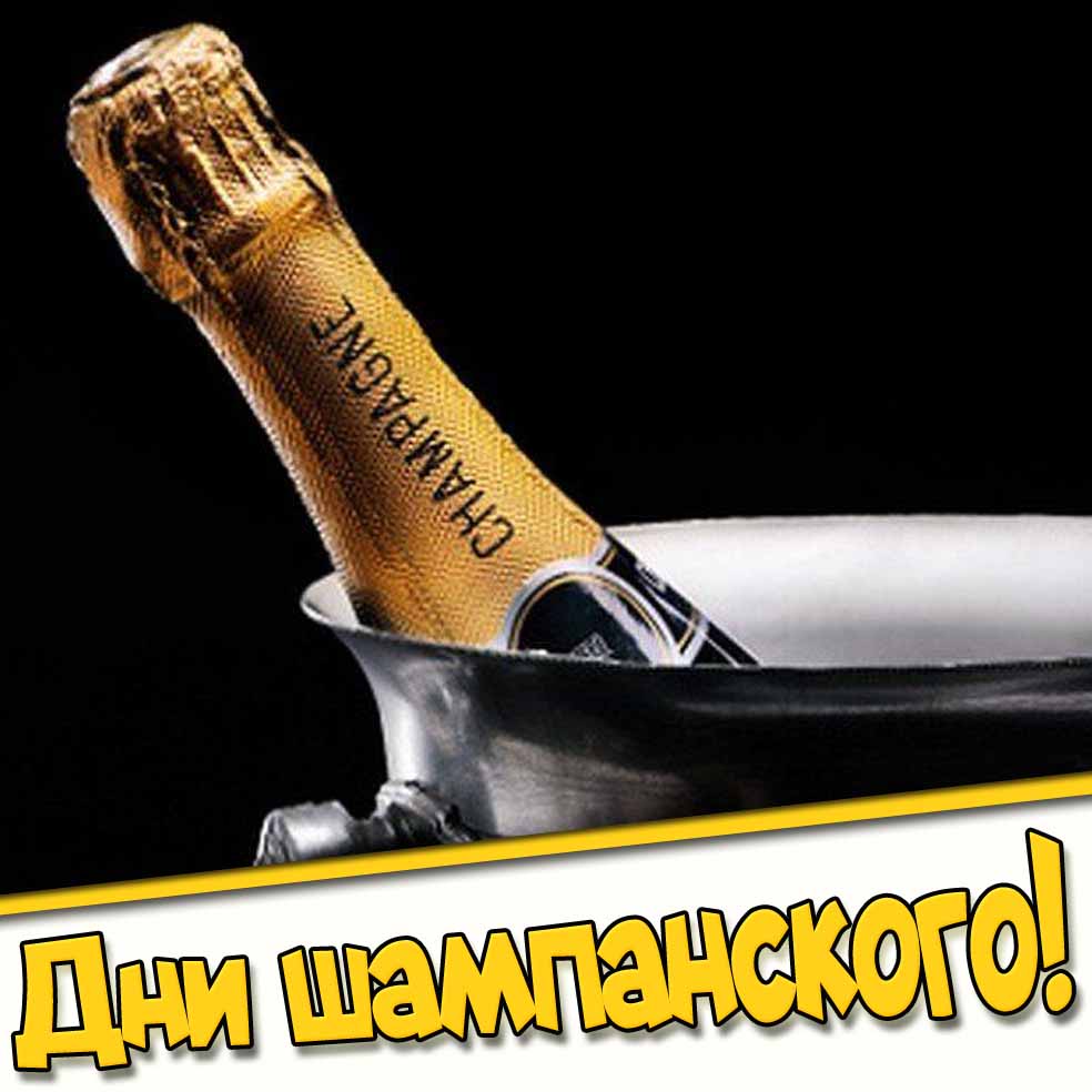 Картинки на все дни шампанского