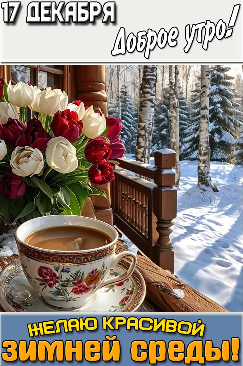 Картинка "17 декабря доброе утро! Желаю красивой зимней среды!"