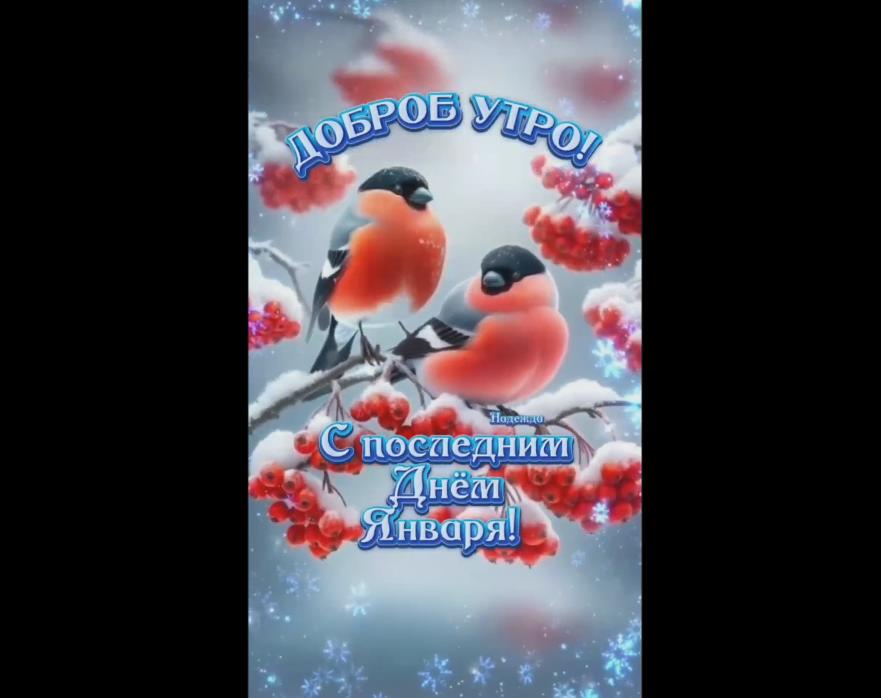 Музыкальная видео открытка "Доброе утро! С последним днём января!"
