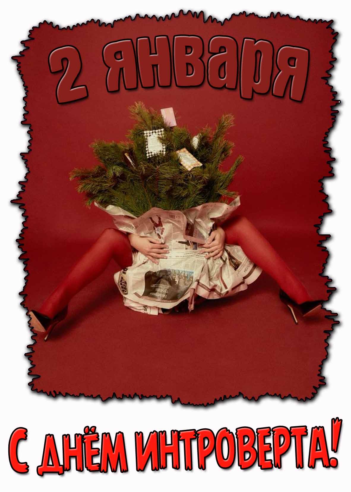 Прикольная картинка на день интроверта - 2 января