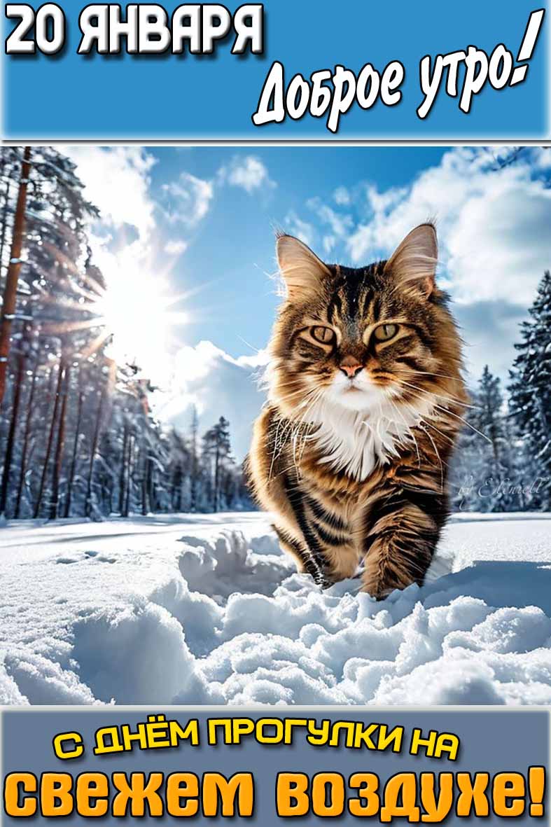 Открытка "20 января доброе утро! С днём прогулки на свежем воздухе!"