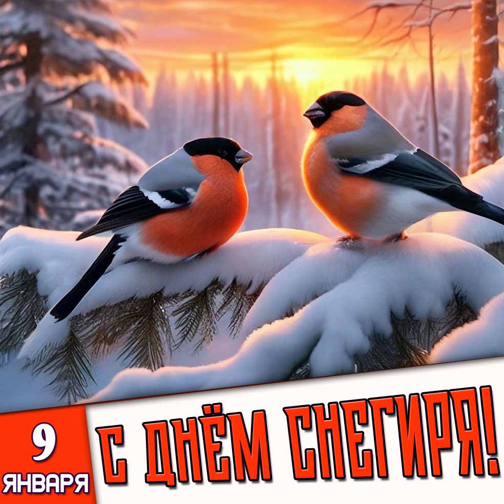 Картинка 9 января - с днём снегиря!