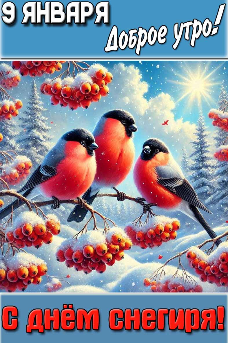 Открытка "9 января доброе утро! С днём снегиря!"