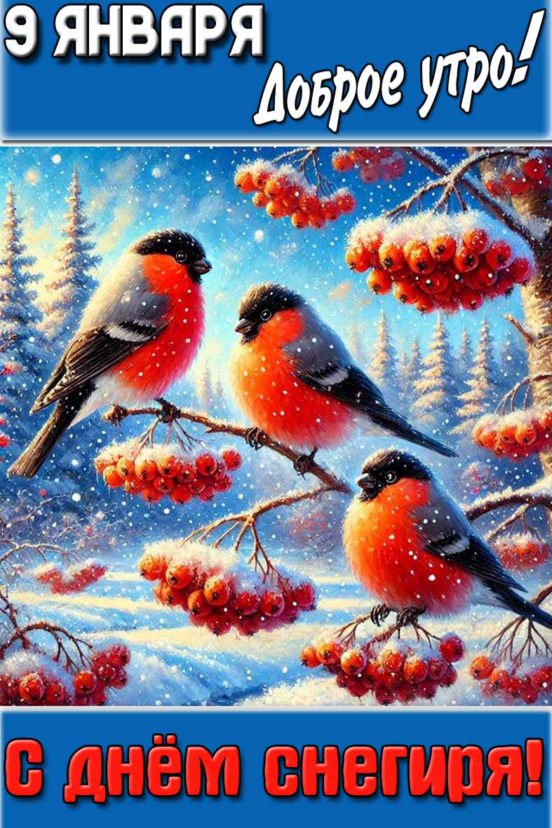Картинка "9 января доброе утро! С днём снегиря!"