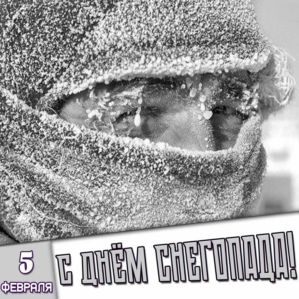 Картинка 5 февраля - с днём снегопада!