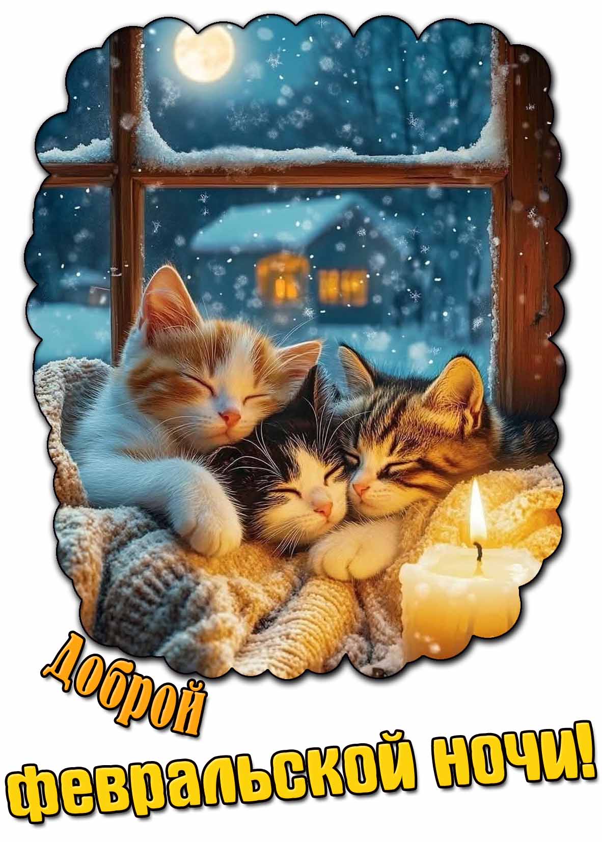 Доброй февральской ночи! - открытка с котиками