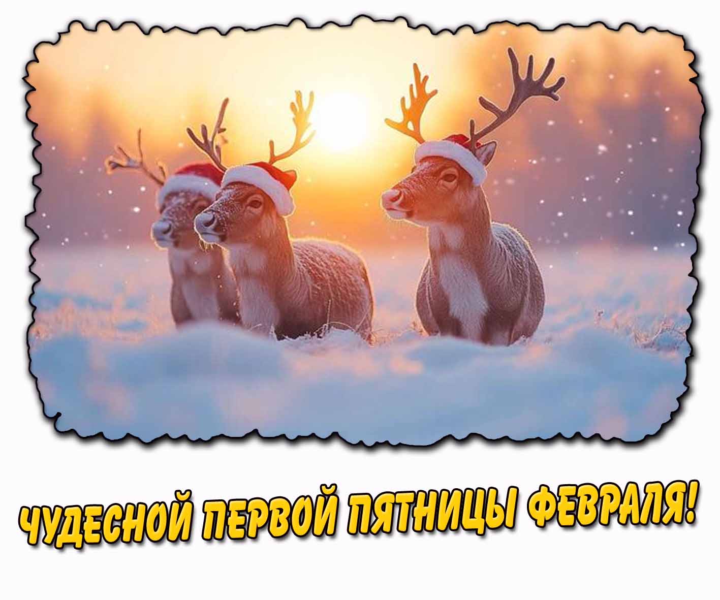 Чудесной первой пятницы февраля! - картинка с оленями