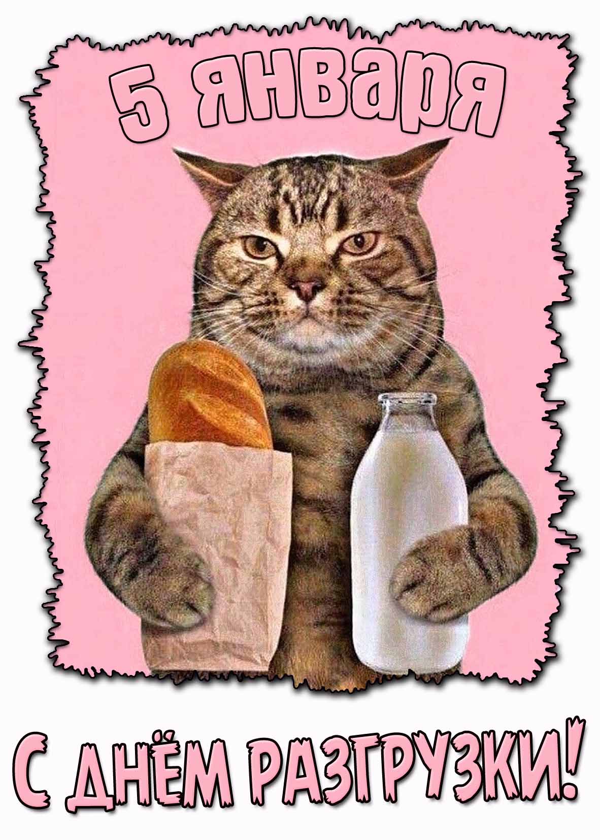 Смешная картинка с днём разгрузки - 5 января