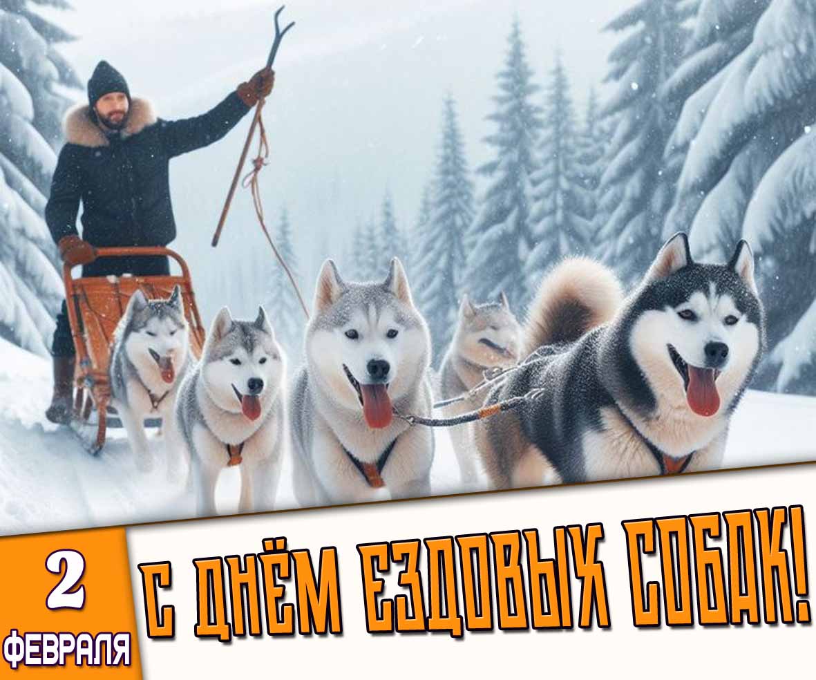 Картинка 2 февраля - с днём ездовых собак!