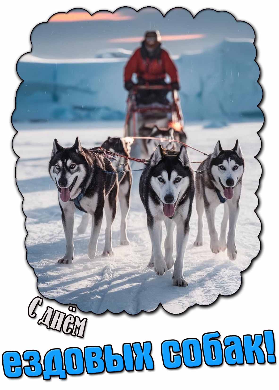 С днём ездовых собак! - зимняя открытка