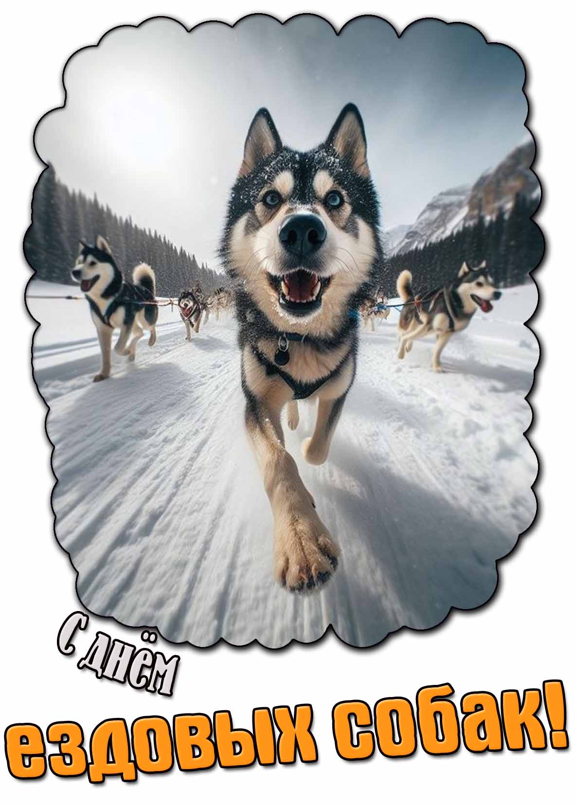 Открытка с днём ездовых собак