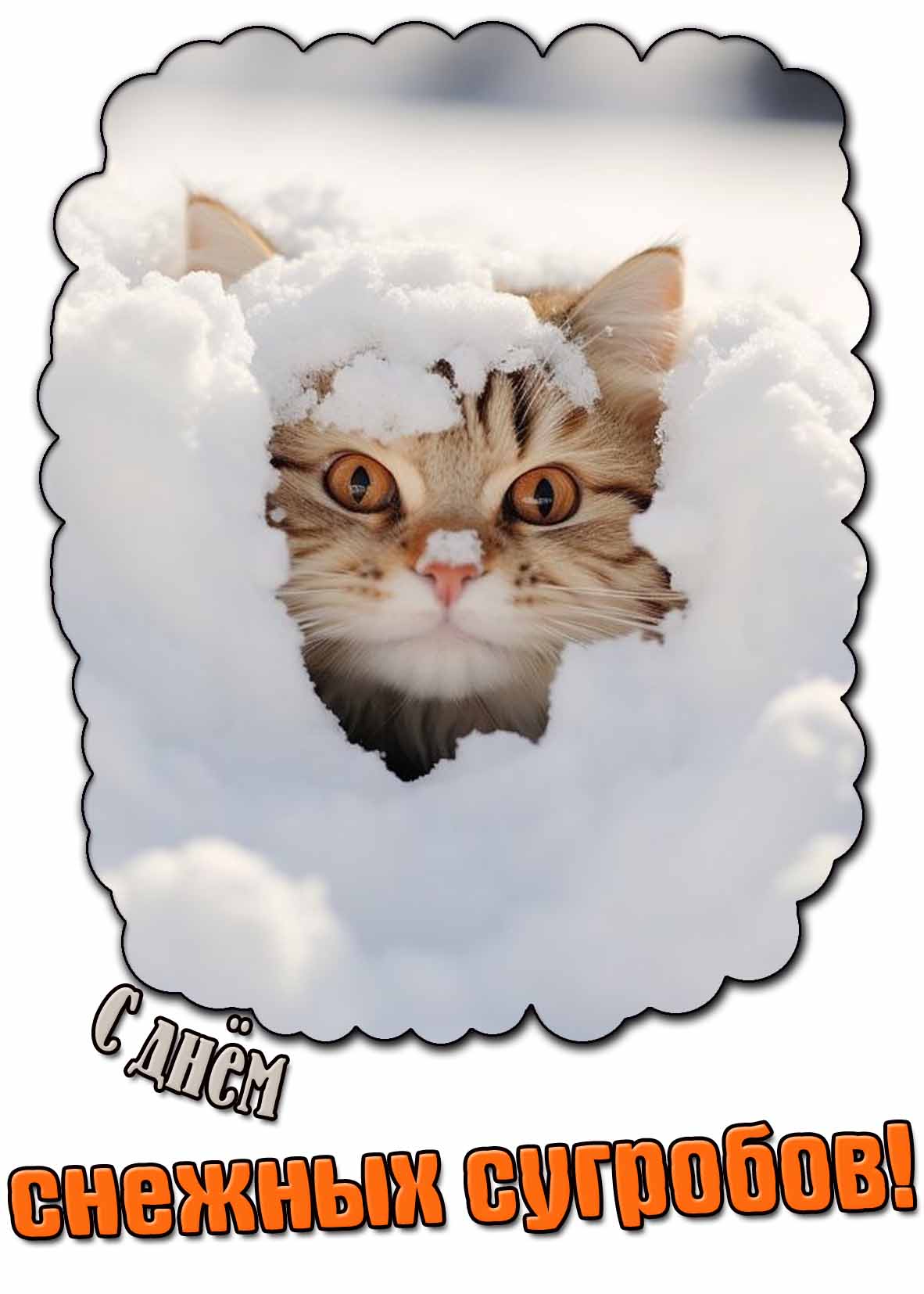С днём снежных сугробов! - открытка с котиком