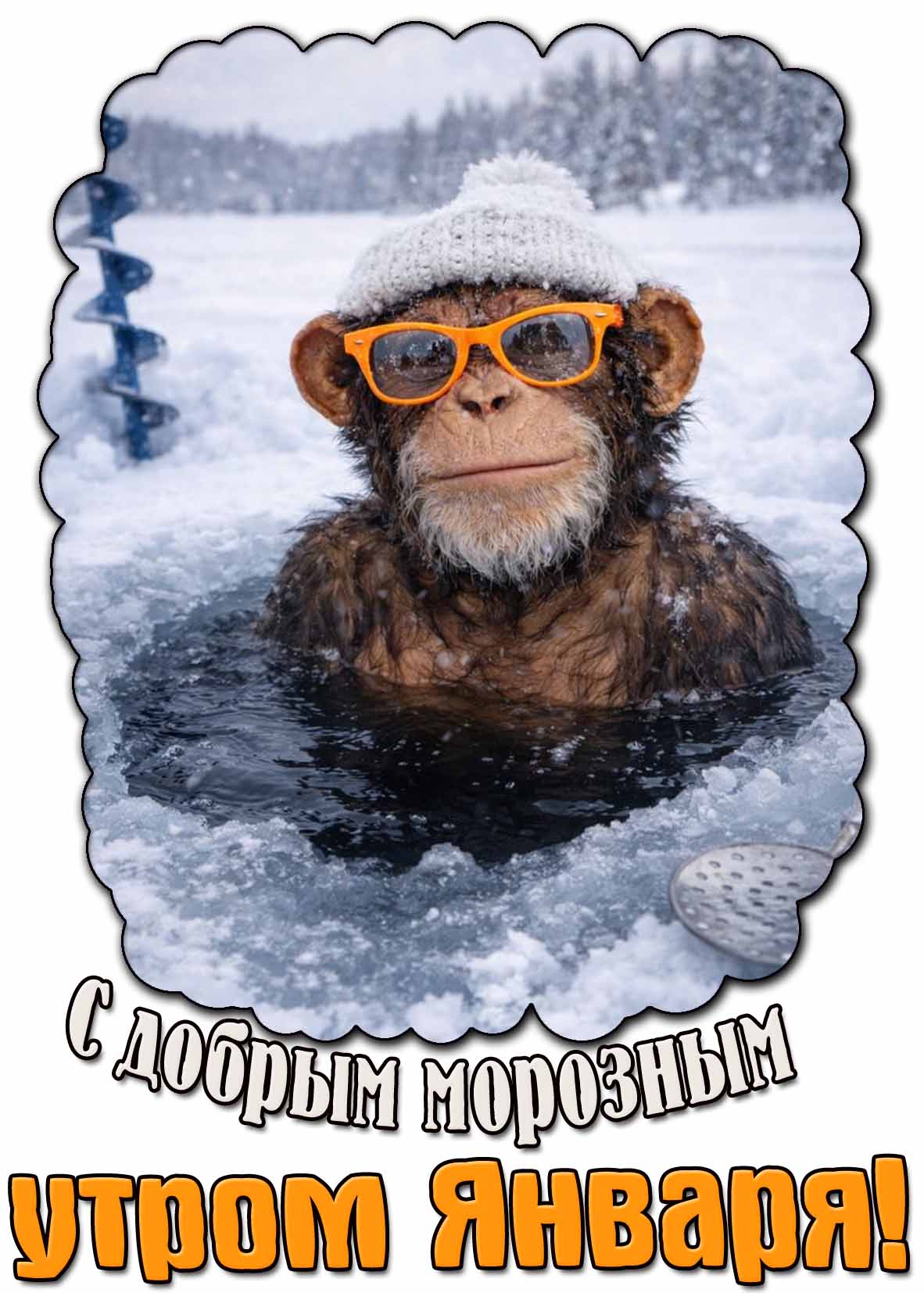 Смешная картинка с добрым морозным утром января