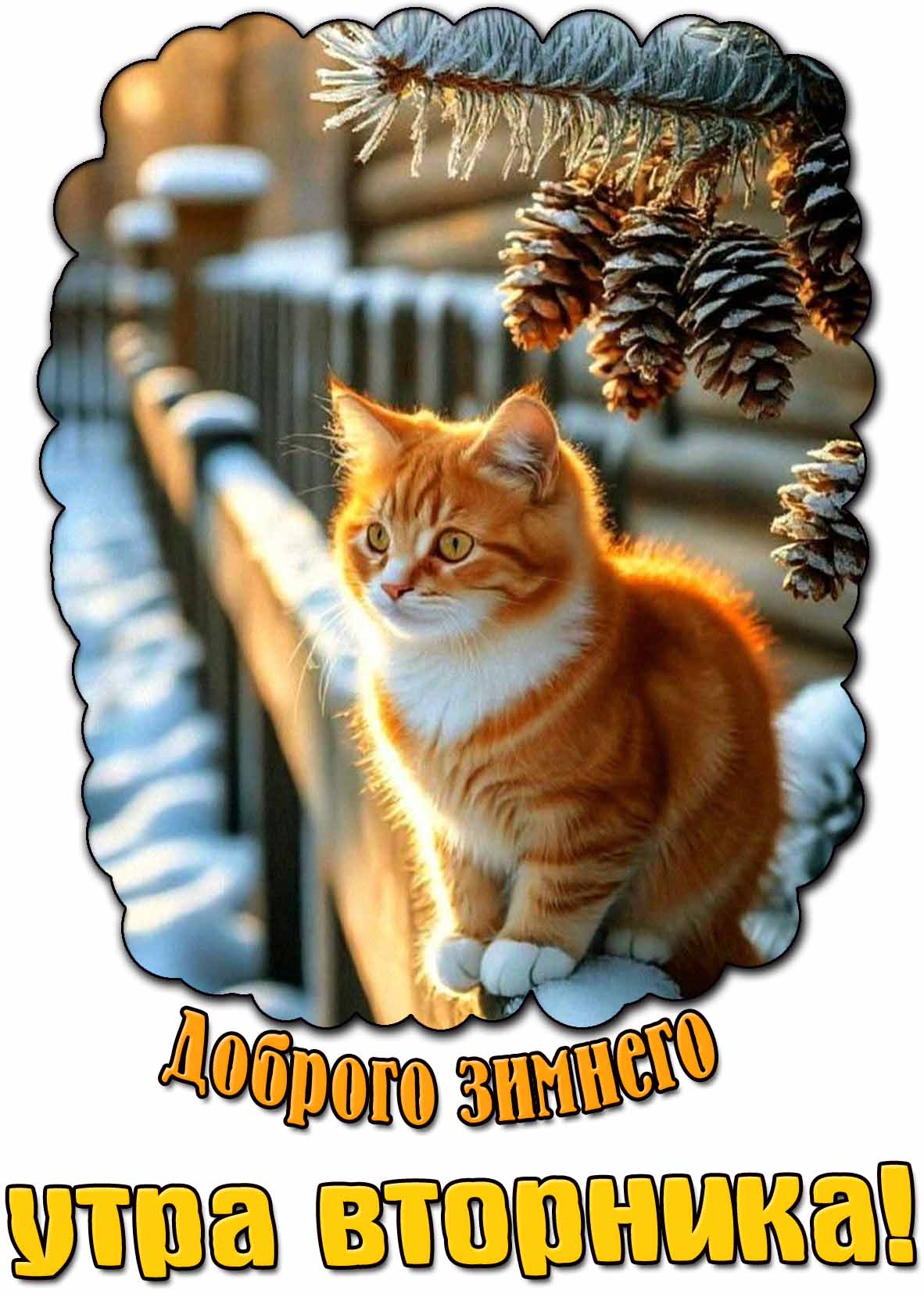 Доброго зимнего утра вторника! - картинка с котёнком