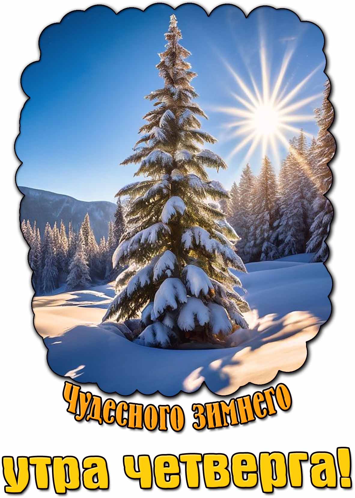 Чудесного зимнего утра четверга! - картинка с ёлочкой