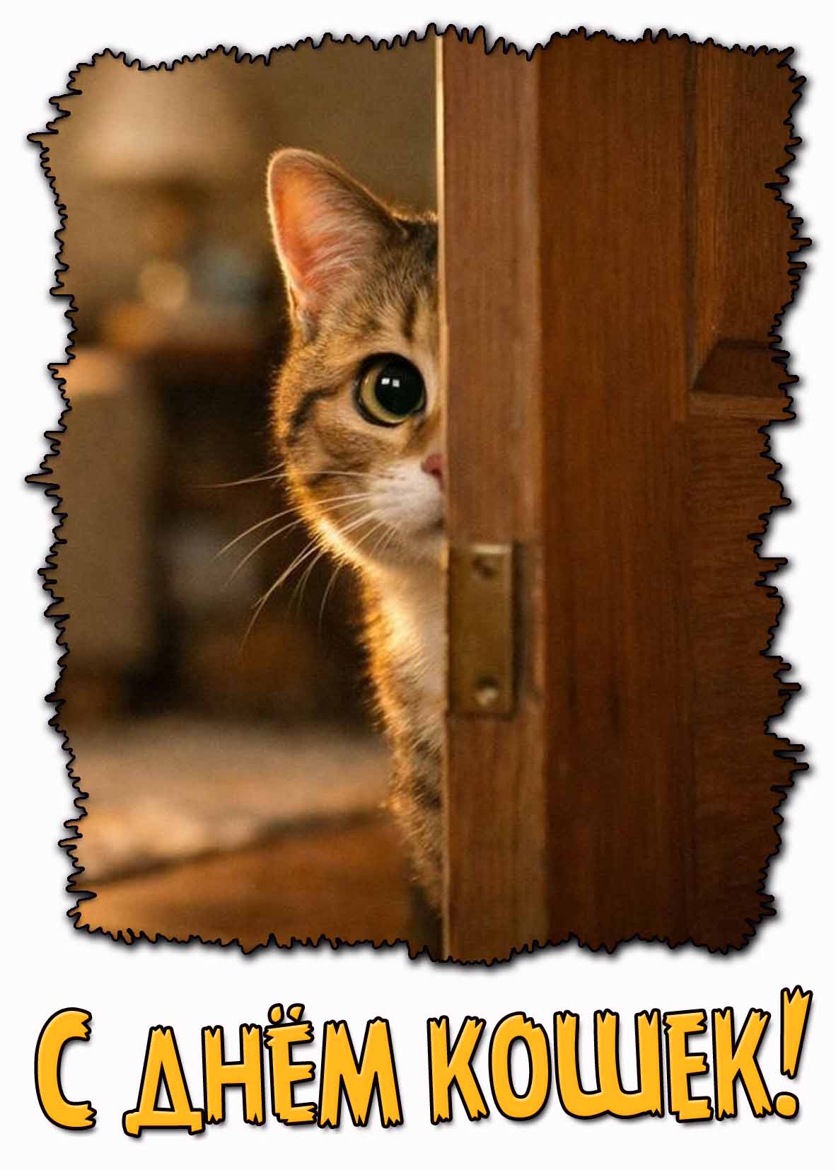 Открытка с днём кошек