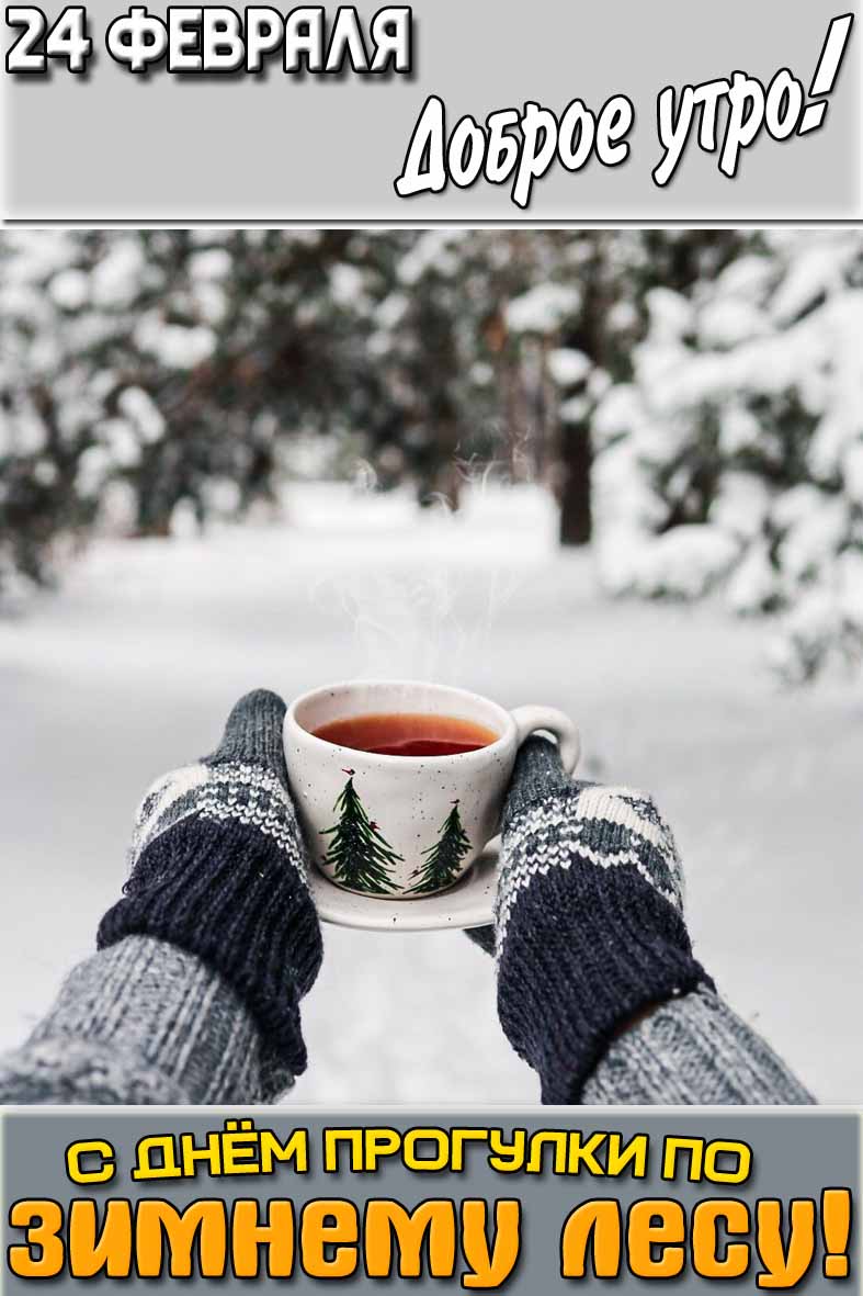 Картинка "24 февраля доброе утро! С днём прогулки по зимнему лесу!"