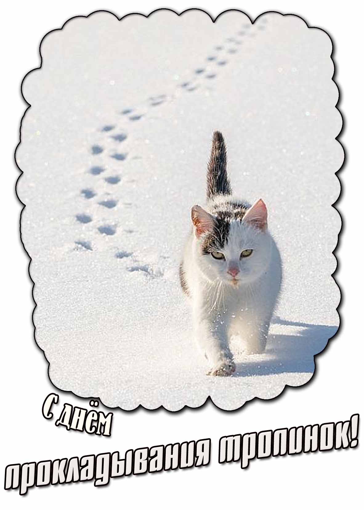 Картинка с днём прокладывания тропинок