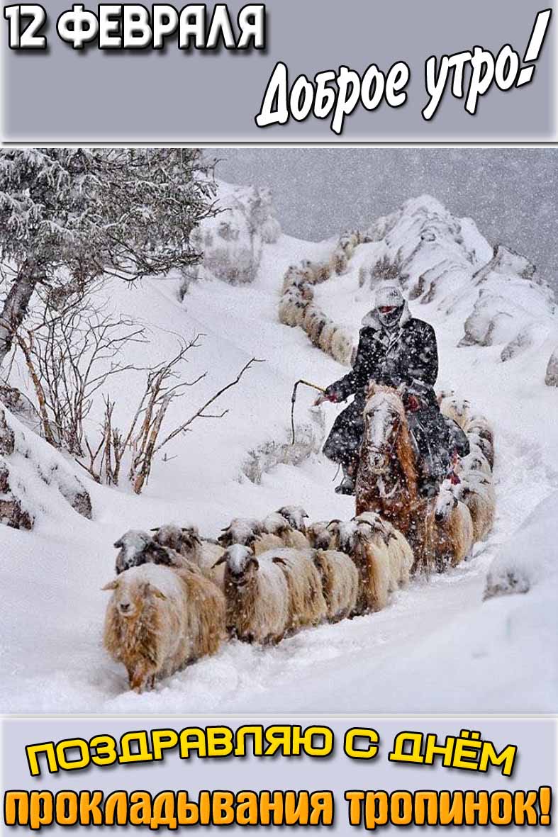 Открытка "12 февраля доброе утро! Поздравляю с днём прокладывания тропинок!"