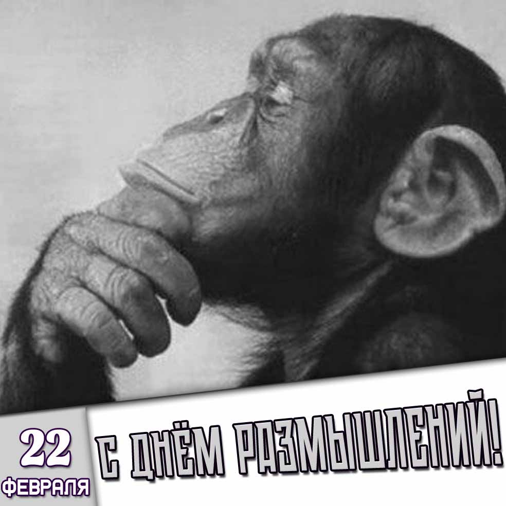 Картинка 22 февраля - с днём размышлений!