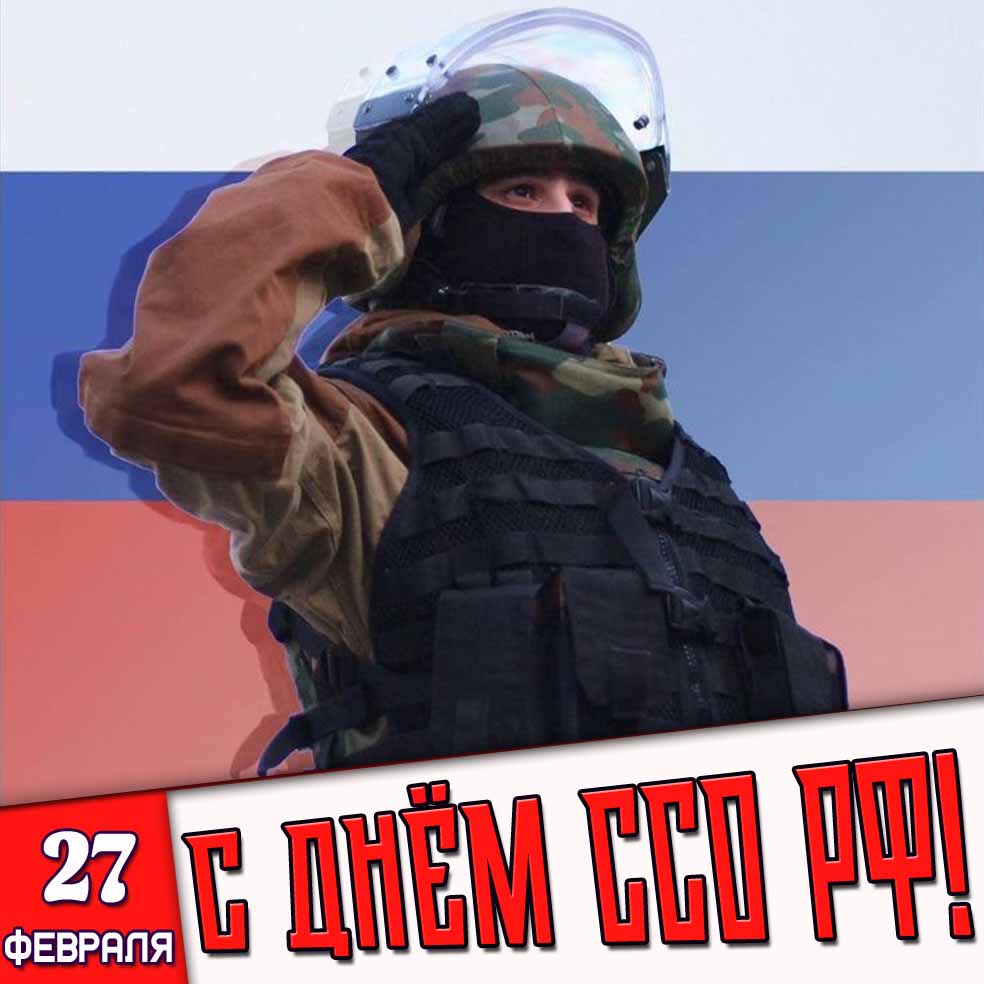 Картинка 27 февраля - с днём ССО РФ!