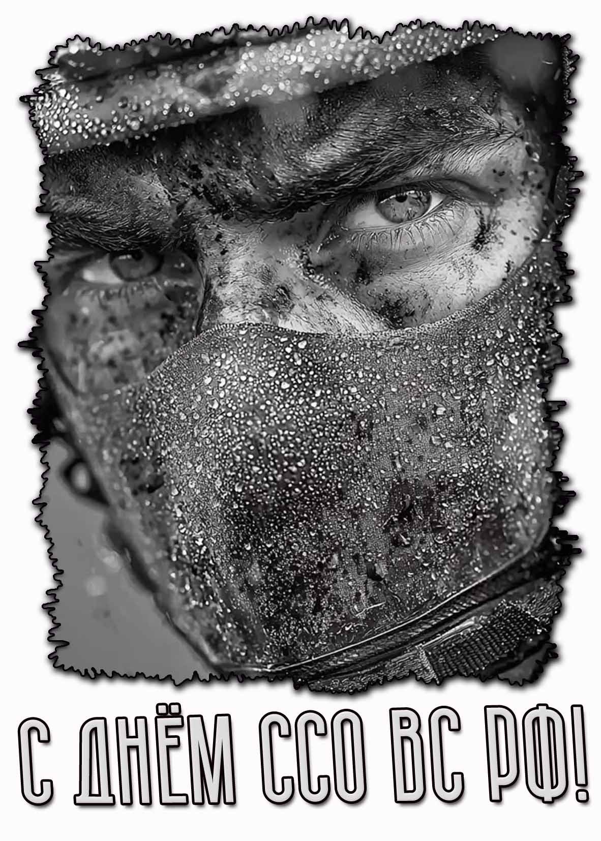 Картинка с днём ССО ВС РФ