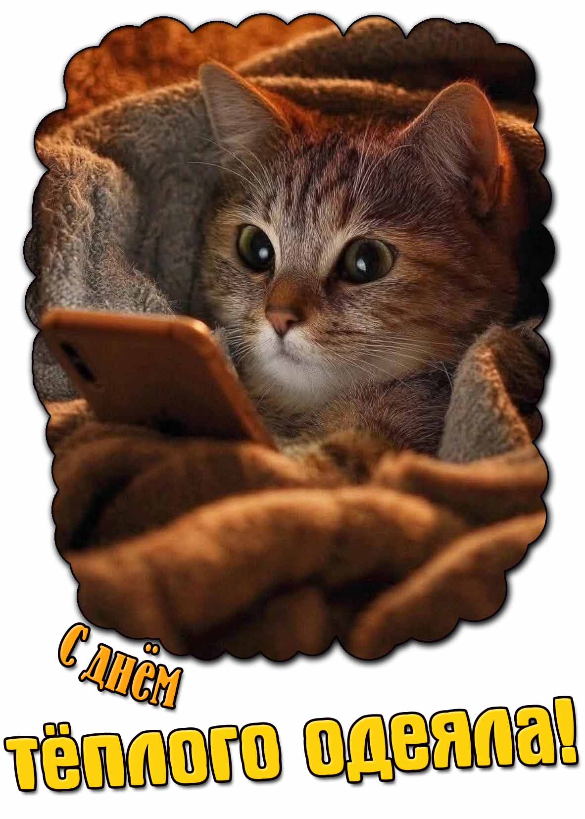 Картинка с днём тёплого одеяла
