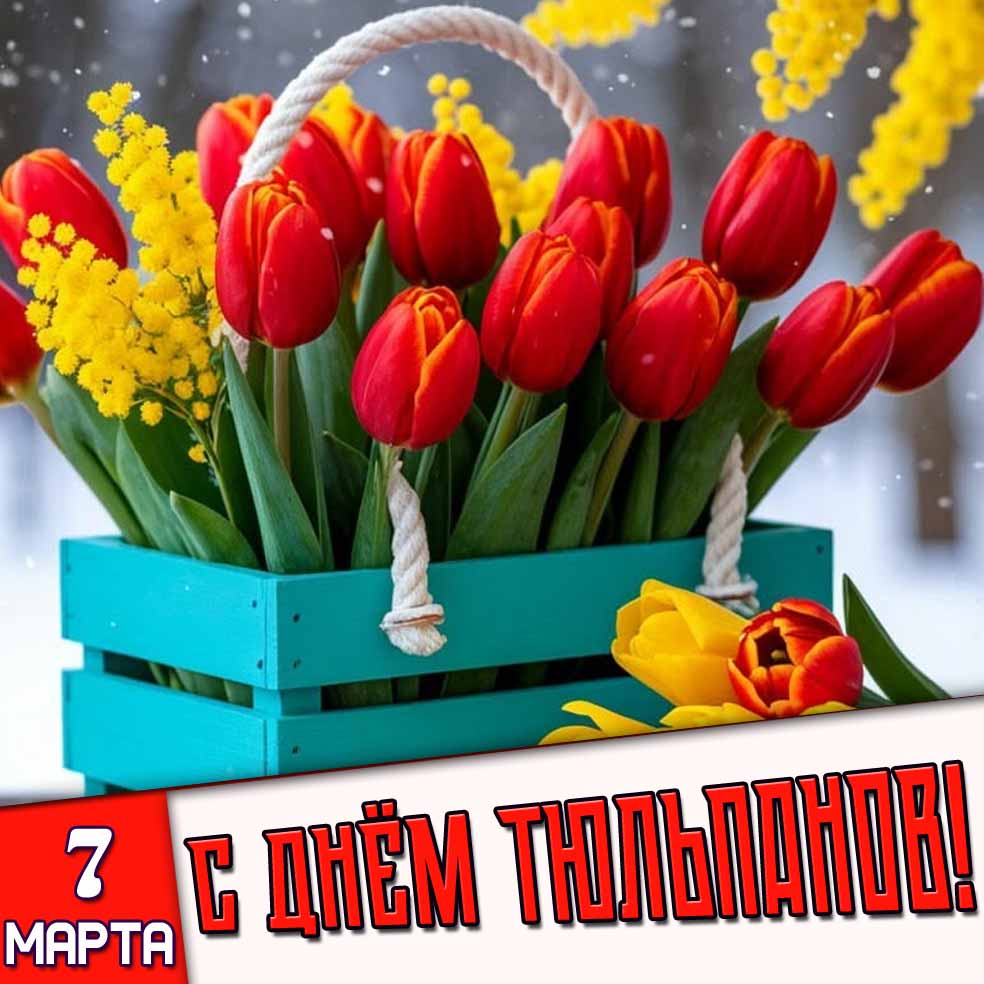 Открытка 7 марта - с днём тюльпанов!