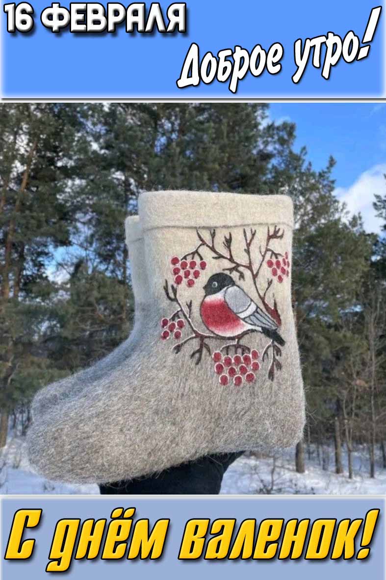 Открытка "16 февраля доброе утро! С днём валенок!"