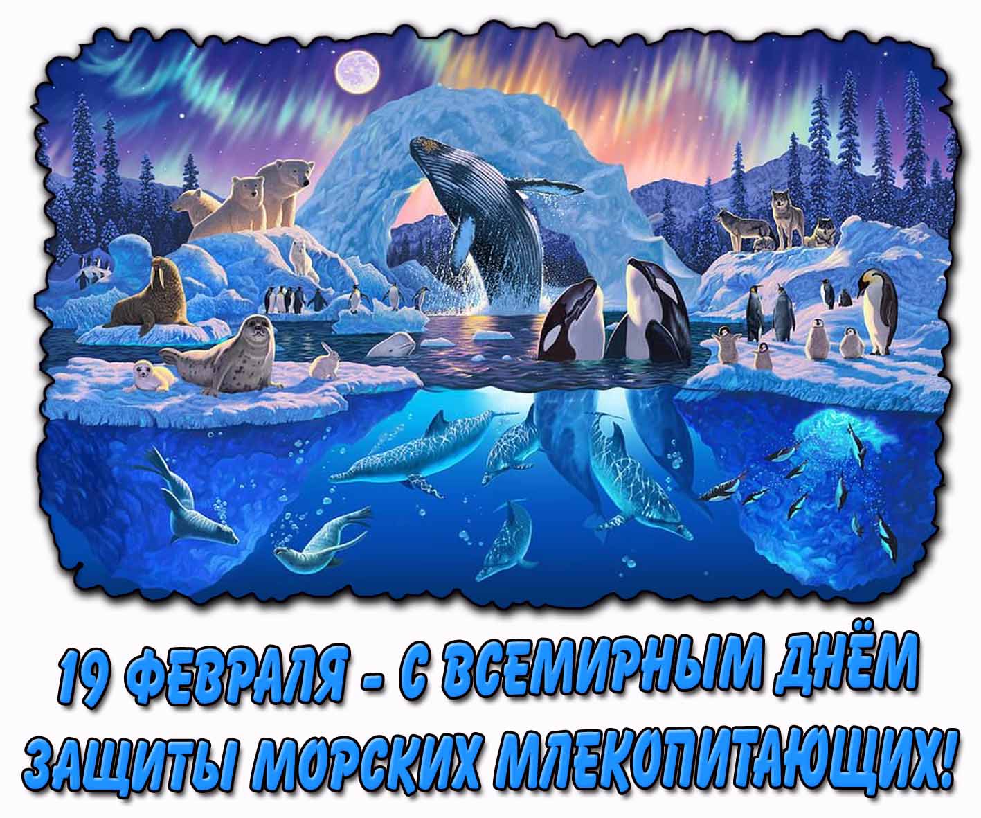 Картинка 19 февраля - с Всемирным днём защиты морских млекопитающих!