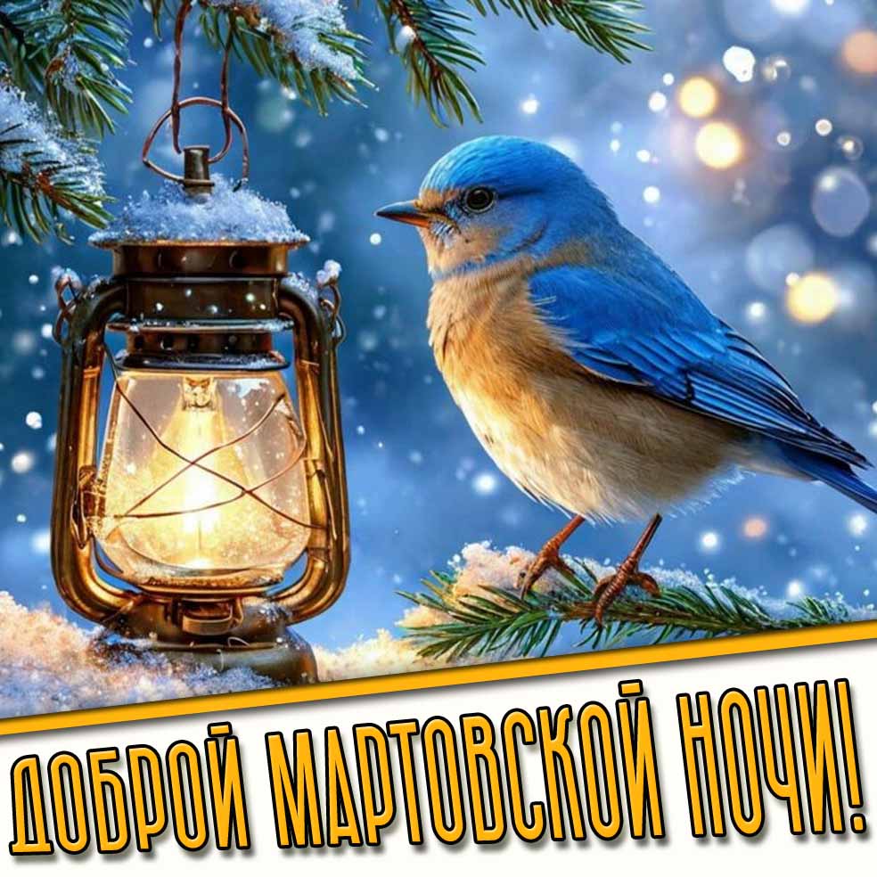 Доброй мартовской ночи! - открытка с птичкой