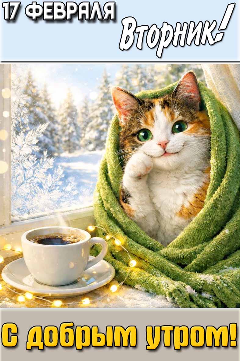 Картинка "17 февраля вторник! С добрым утром!