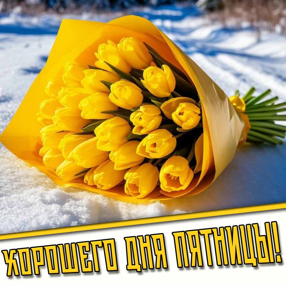 Хорошего дня пятницы! - зимняя картинка с тюльпанами