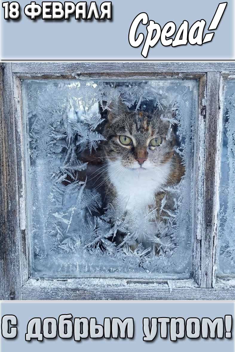 Картинка "18 февраля среда! С добрым утром!"