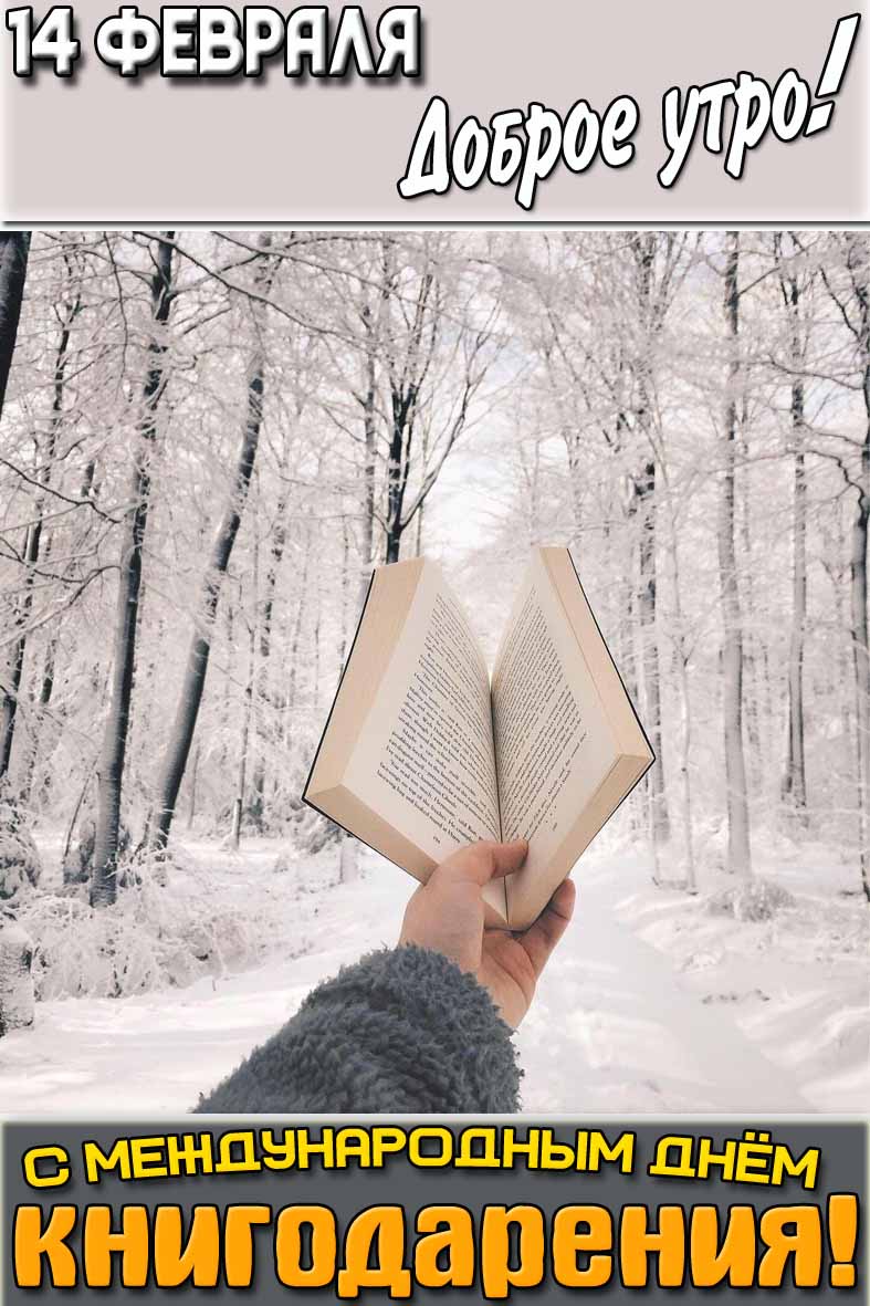 Картинка "14 февраля доброе утро! С Международным днём книгодарения!"