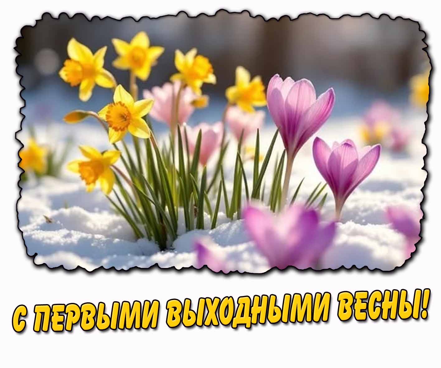 С первыми выходными весны! - открытка с нарциссами
