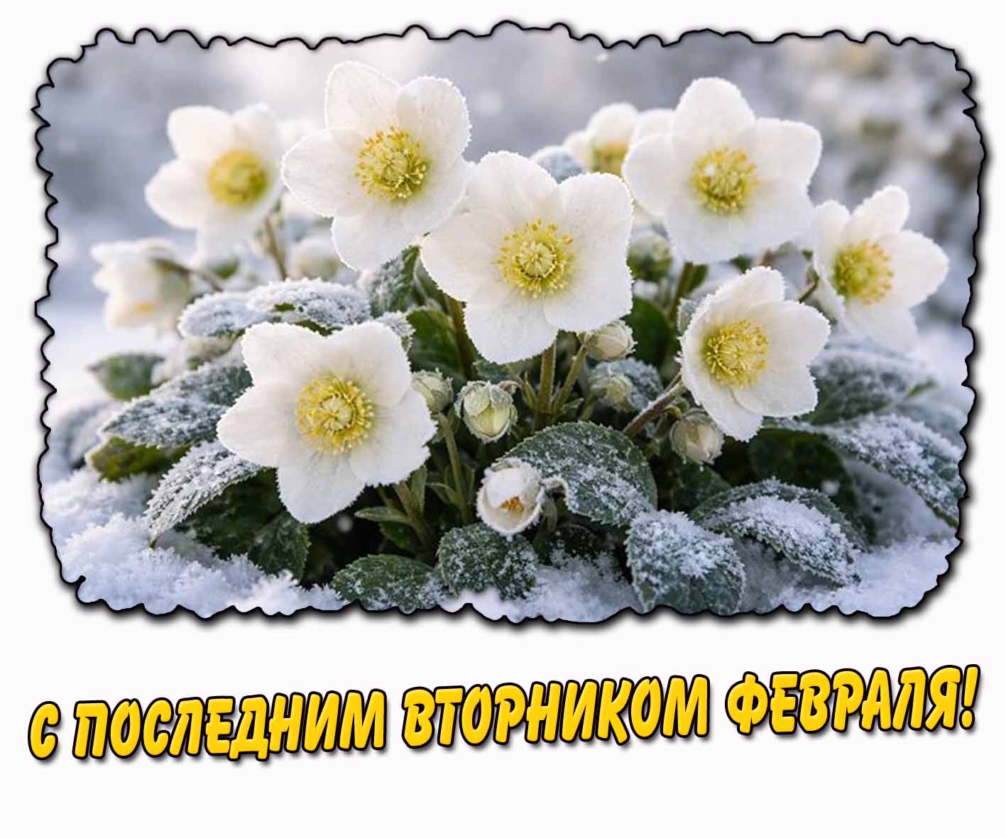 С последним вторником февраля! - картинка с цветами