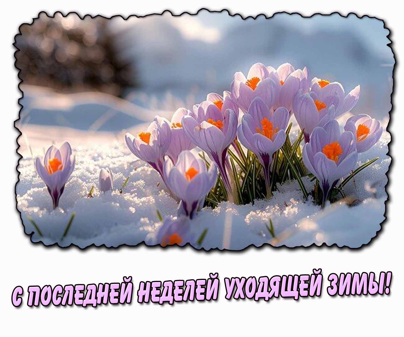 Красивая картинка с последней неделей уходящей зимы
