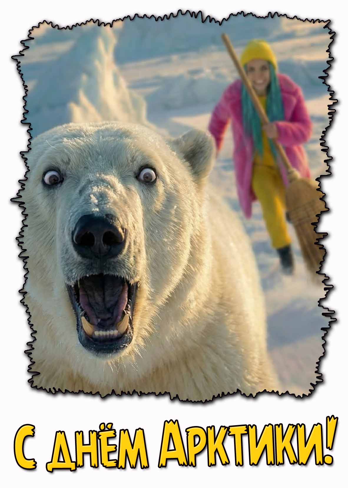 Смешная картинка с днём Арктики