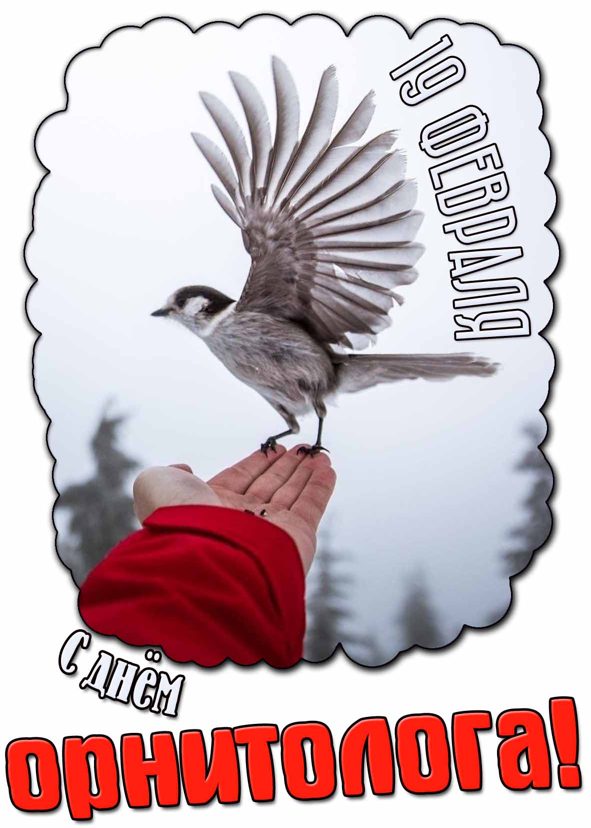 Открытка с днём орнитолога