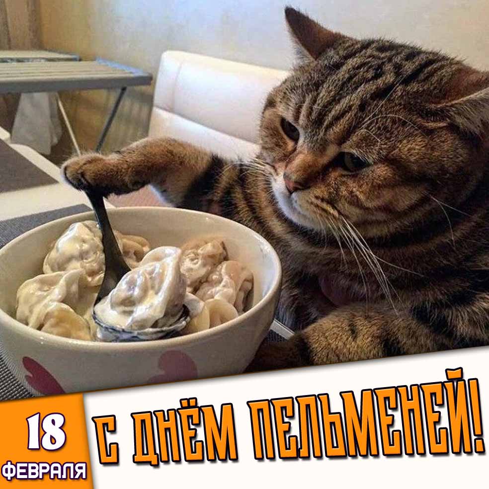 Смешная картинка 18 февраля - с днём пельменей!