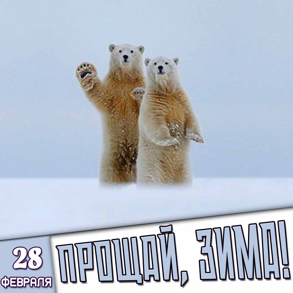 Картинка 28 февраля - Прощай, зима!