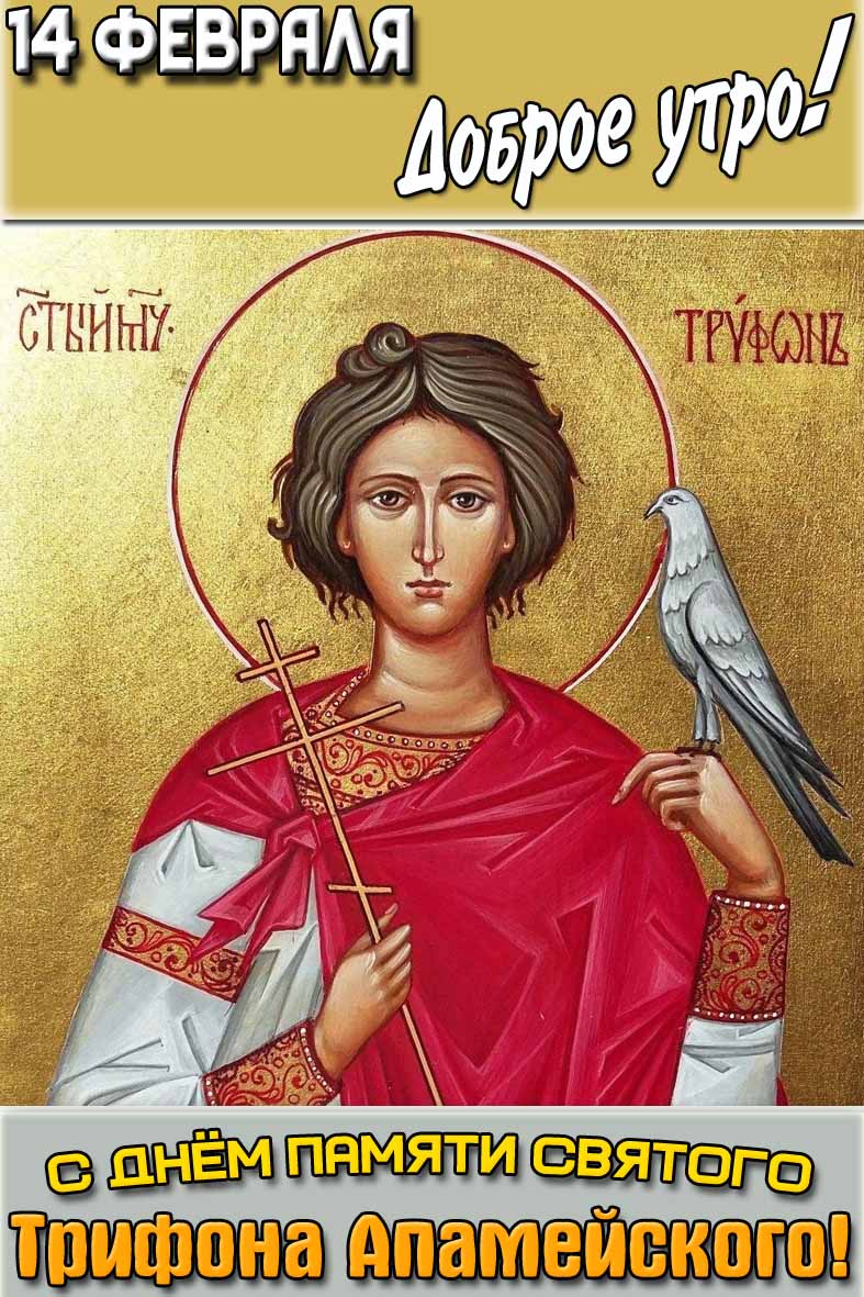 Открытка "14 февраля доброе утро! С днём памяти святого Трифона Апамейского!"