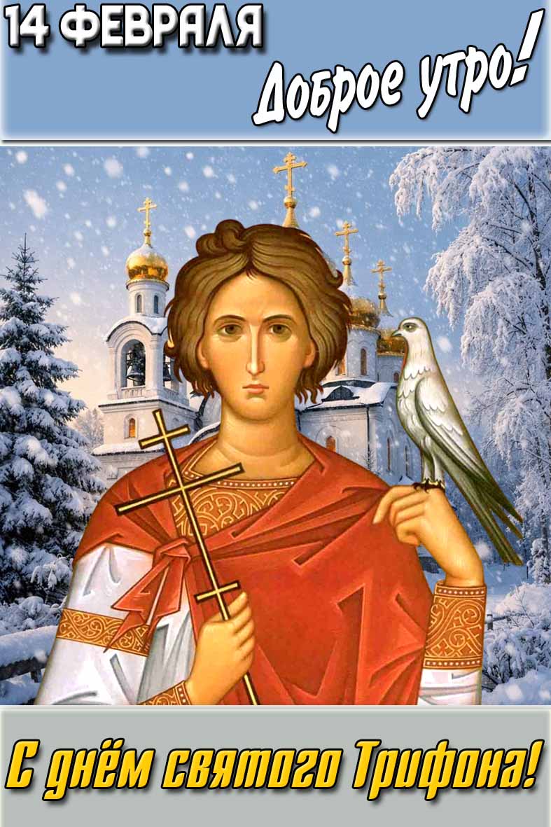 Картинка "14 февраля доброе утро! С днём святого Трифона!"