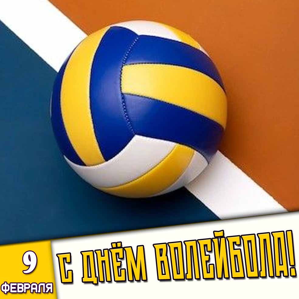 Стильная картинка 9 февраля - с днём волейбола!