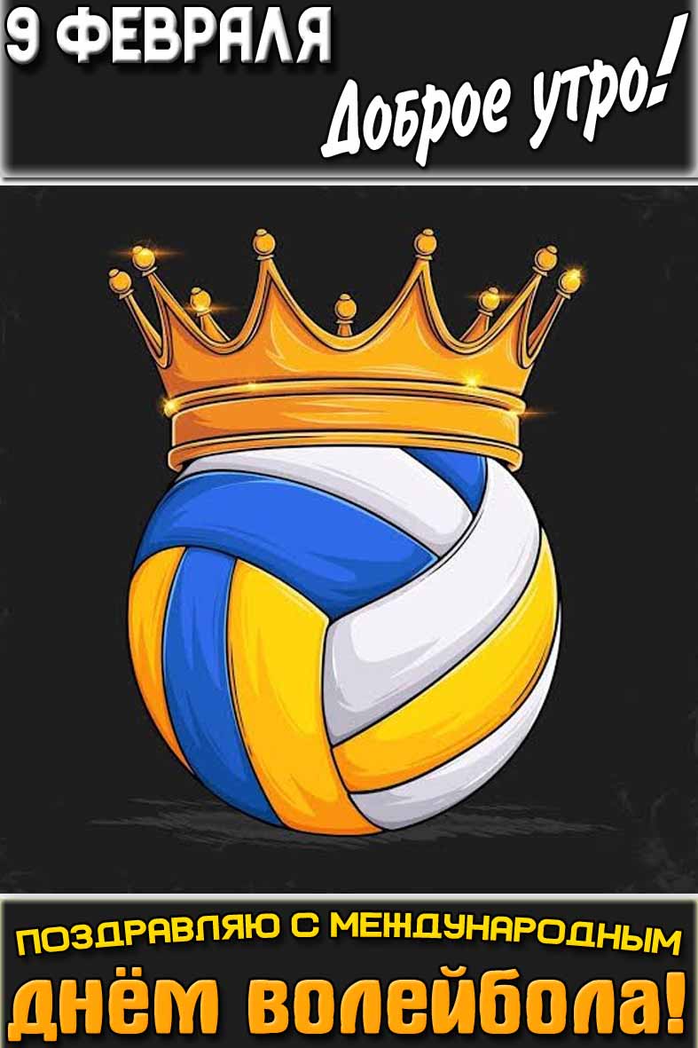 Открытка "9 февраля доброе утро! Поздравлю с Международным днём волейбола!"