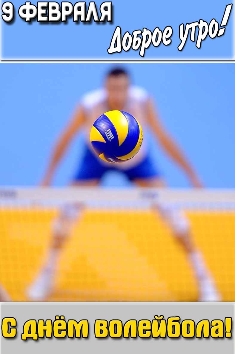 Картинка "9 февраля доброе утро! С днём волейбола!"