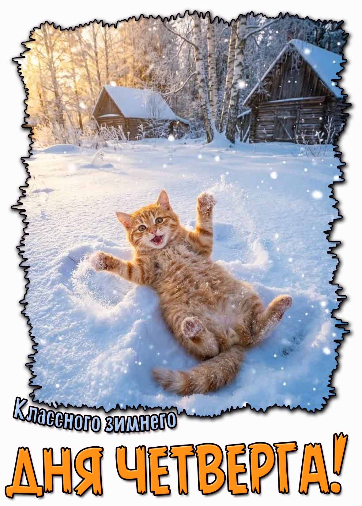 Классного зимнего дня четверга! - открытка с котом