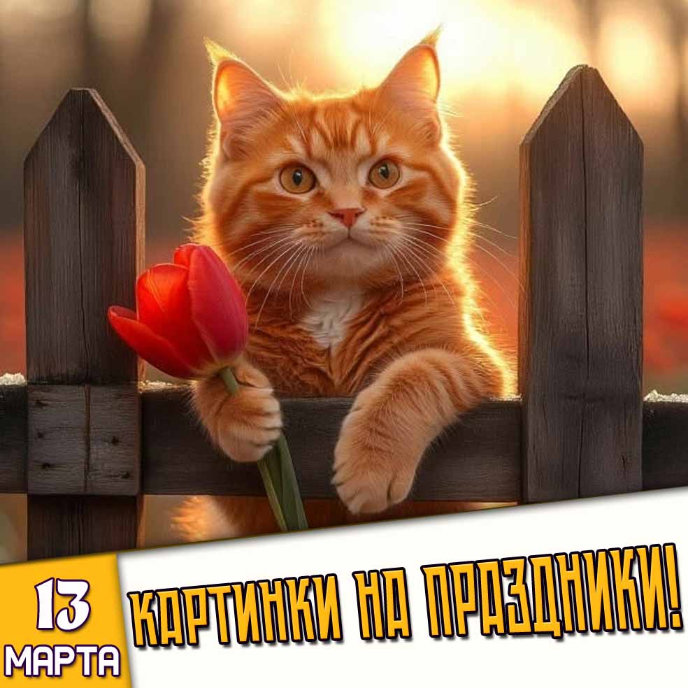Картинки на праздники 13 марта